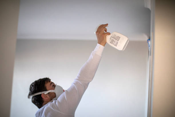 Best Preventive Mold Services in Edinburg, VA