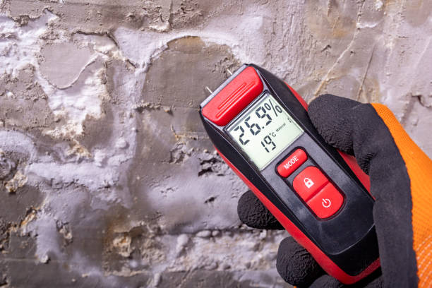 Edinburg, VA Mold Remediation Company