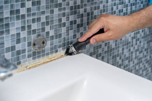 Best Mold Remediation for Specific Building Types in Edinburg, VA