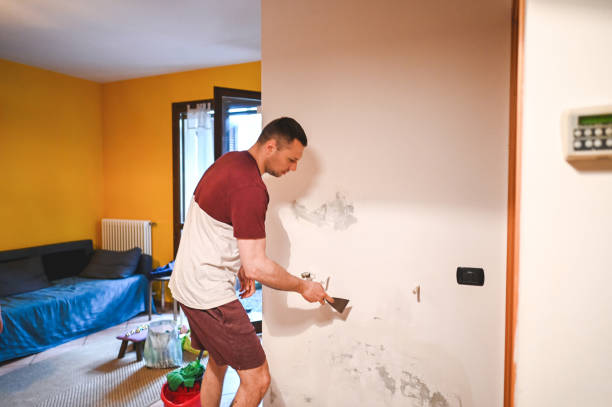 Best HVAC Mold Remediation in Edinburg, VA